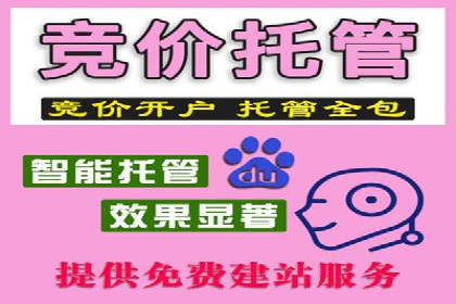 某SEM主管的创意广告策略与实际效果对比